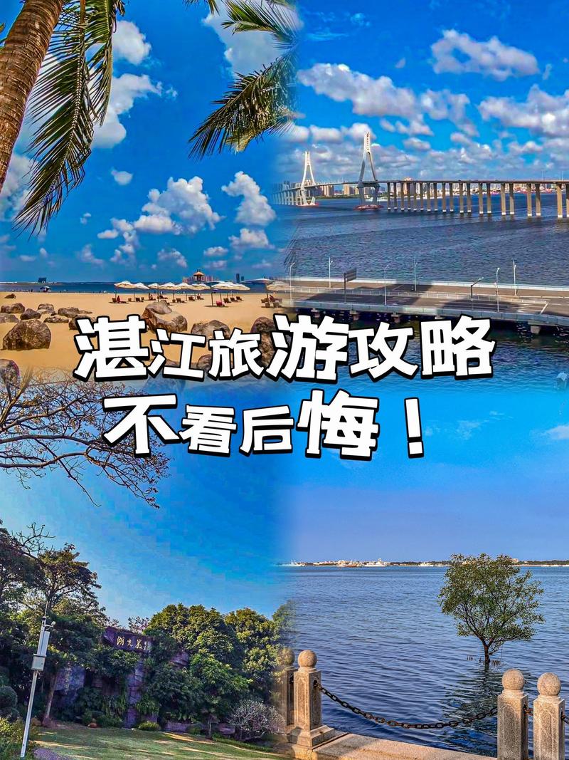 湛江假期出行要求 - 湛江出行需要核酸检测吗 第7张 湛江假期出行要求 - 湛江出行需要核酸检测吗 第7张