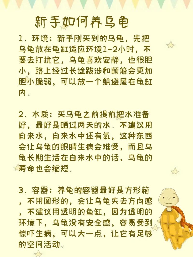 如何养乌龟小常识,如何养乌龟小常识图片 第2张 如何养乌龟小常识,如何养乌龟小常识图片 第2张
