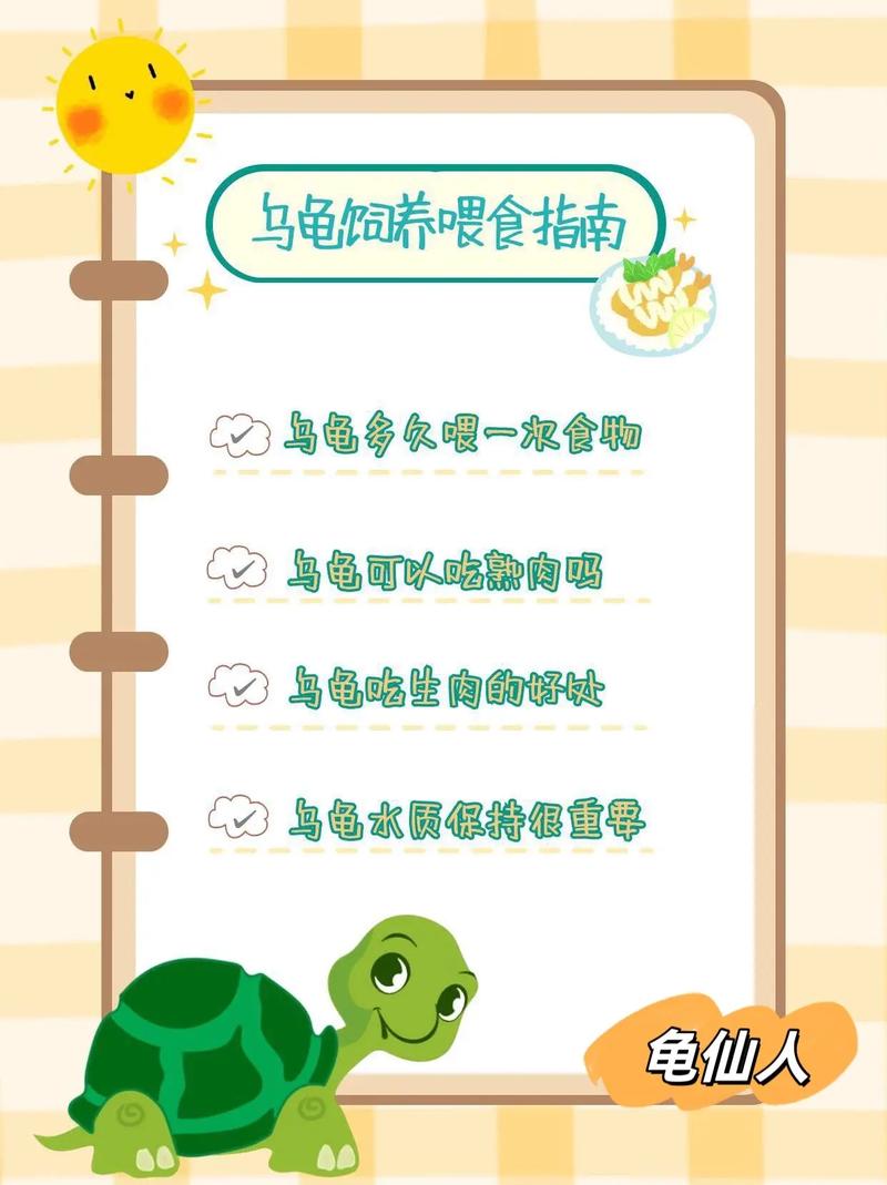 如何养乌龟小常识,如何养乌龟小常识图片 第8张 如何养乌龟小常识,如何养乌龟小常识图片 第8张