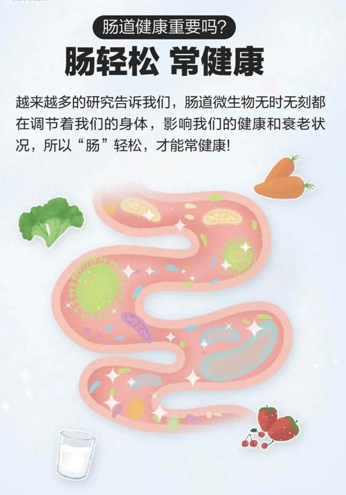 养护肠胃的小常识，养护肠胃应该吃些什么  第6张