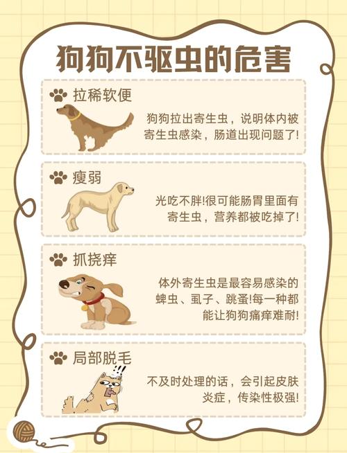 狗狗驱虫常识,狗狗驱虫方法以及注意事项图 第1张 狗狗驱虫常识,狗狗驱虫方法以及注意事项图 第1张