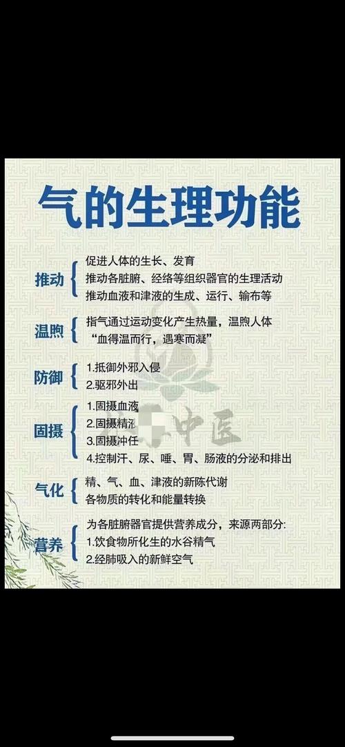 最基本医学常识大全(医学基本常识汇总) 第4张 最基本医学常识大全(医学基本常识汇总) 第4张