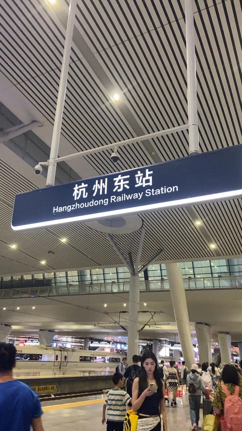 浙江杭州东可不可以出行(杭州东站进去了可以出来吗) 第4张 浙江杭州东可不可以出行(杭州东站进去了可以出来吗) 第4张