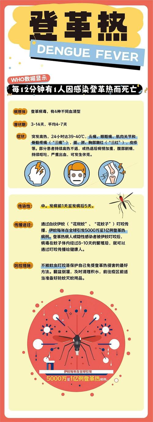 如何预防登革热小常识 - 如何预防登革热小常识手抄报 第1张 如何预防登革热小常识 - 如何预防登革热小常识手抄报 第1张
