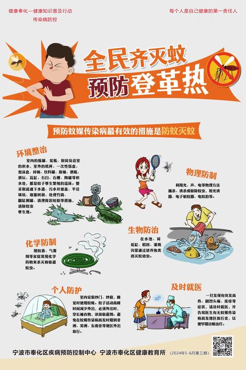 如何预防登革热小常识 - 如何预防登革热小常识手抄报 第3张 如何预防登革热小常识 - 如何预防登革热小常识手抄报 第3张