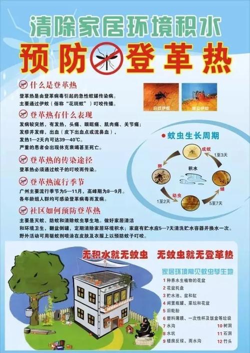 如何预防登革热小常识 - 如何预防登革热小常识手抄报 第4张 如何预防登革热小常识 - 如何预防登革热小常识手抄报 第4张