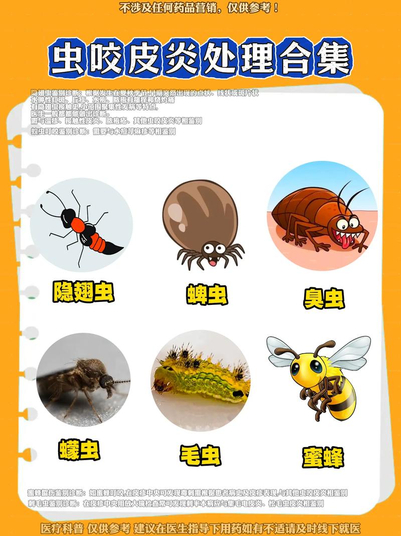 夏季卫生小常识,夏天卫生小常识 第4张 夏季卫生小常识,夏天卫生小常识 第4张