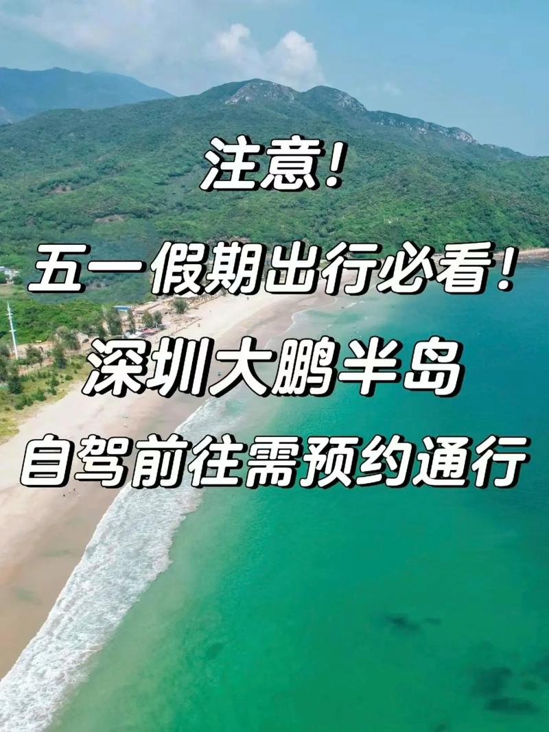 怎样预约五一出行车辆(五一车票预约) 第7张 怎样预约五一出行车辆(五一车票预约) 第7张