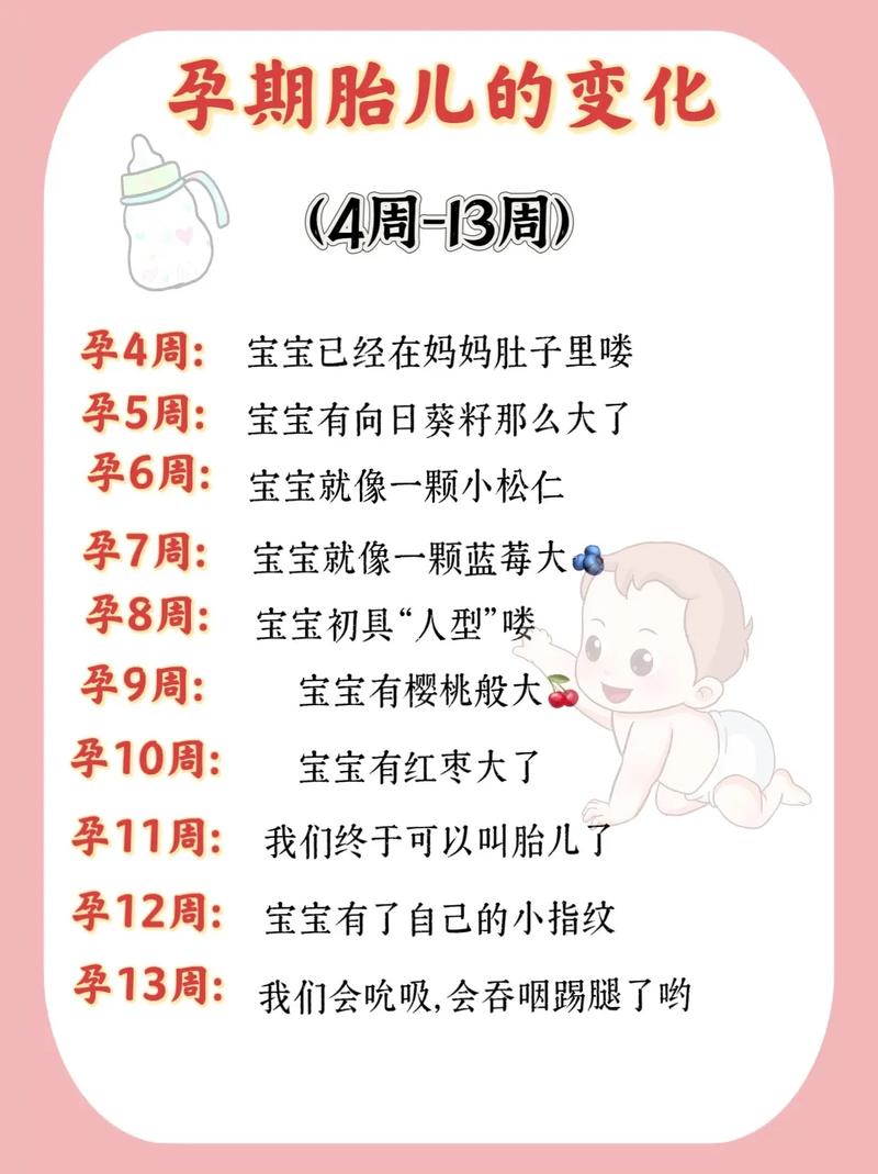 孕期常识大全(整个孕期常识) 第1张 孕期常识大全(整个孕期常识) 第1张