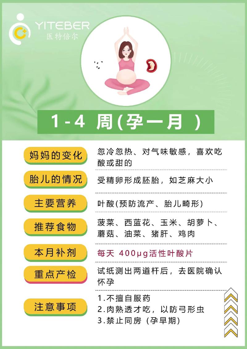 孕期常识大全(整个孕期常识) 第2张 孕期常识大全(整个孕期常识) 第2张