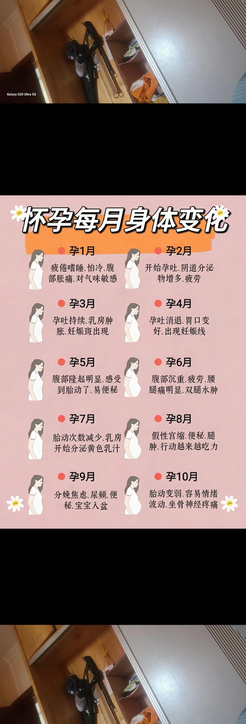 孕期常识大全(整个孕期常识) 第5张 孕期常识大全(整个孕期常识) 第5张