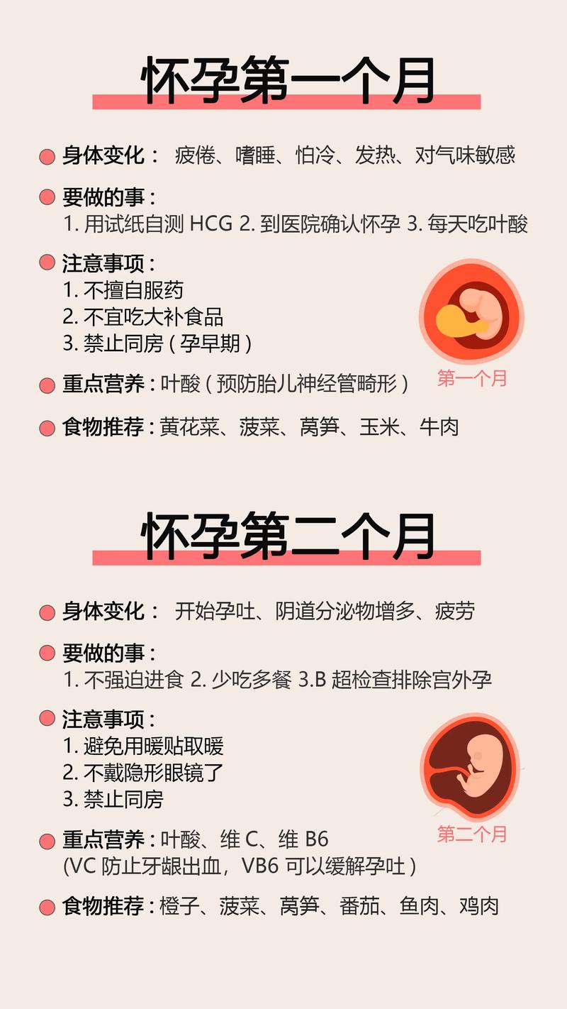孕期常识大全(整个孕期常识) 第7张 孕期常识大全(整个孕期常识) 第7张