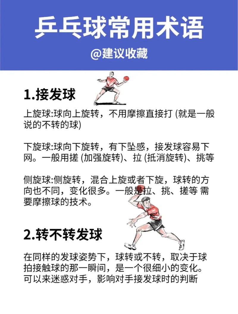 乒乓球规则常识,乒乓球规则常识20条谁先发球 第4张 乒乓球规则常识,乒乓球规则常识20条谁先发球 第4张
