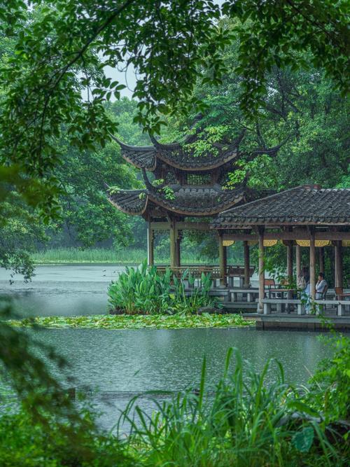 浙江下雨出行方式(浙江下雨出行方式怎么样) 第5张 浙江下雨出行方式(浙江下雨出行方式怎么样) 第5张