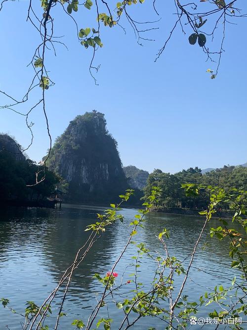 肇庆旅游安全出行,肇庆旅游安全出行政策 第4张 肇庆旅游安全出行,肇庆旅游安全出行政策 第4张