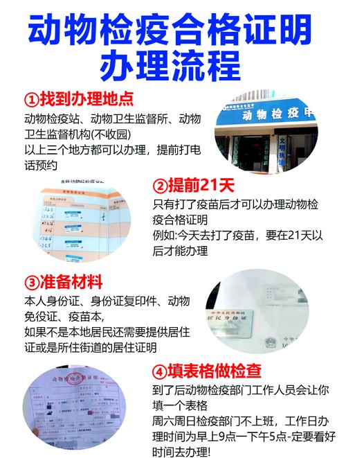 长春宠物出行打车,长春有宠物托运吗 第2张 长春宠物出行打车,长春有宠物托运吗 第2张