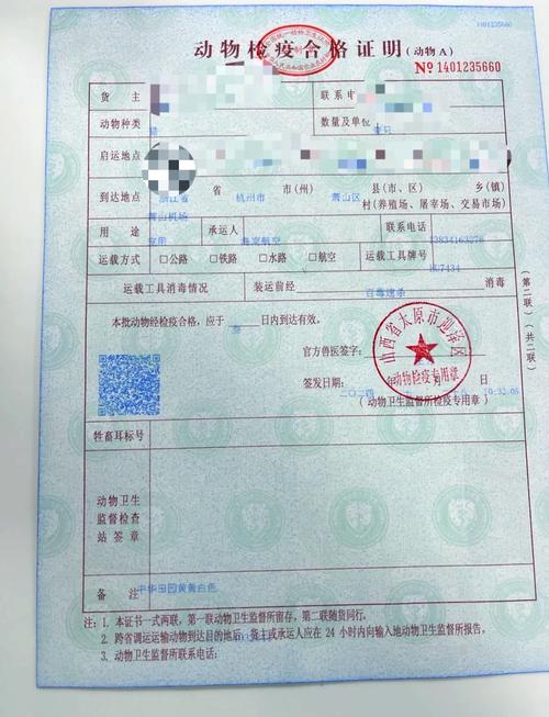 长春宠物出行打车,长春有宠物托运吗 第3张 长春宠物出行打车,长春有宠物托运吗 第3张