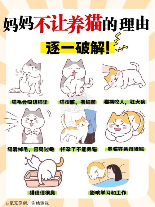 长春宠物出行打车,长春有宠物托运吗 第4张 长春宠物出行打车,长春有宠物托运吗 第4张